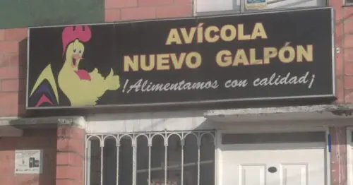 AVICOLA NUEVO GALPON BOGOTÁ AVICOLA NUEVO GALPON BOGOTÁ